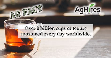 20 Tea Facts