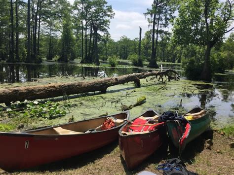 Best 7 Paddle In Campgrounds For Canoeing Or Kayaking In Nc