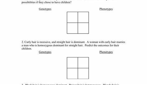 Punnett Square Practice Problems Worksheet Answers | Worksheets Samples