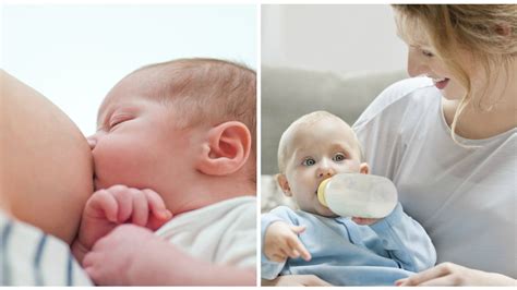 Breastfeeding And Bottle Feeding 'Make Babies Obese', Studies Suggest ...