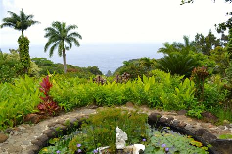 Garden Of Eden 252 Photos Botanical Gardens Maui Hi Reviews Yelp