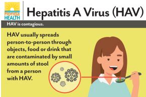 Hepatitis A Virus Hav Information Florida Department Of Health In Martin