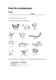 This article is the second in a series of lessons devoted to teaching vertebrates in the elementary classroom. animal worksheet: NEW 160 ANIMAL VERTEBRATE WORKSHEET