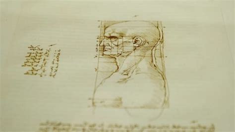 15 Things You Might Not Know About Leonardo Da Vincis Vitruvian Man