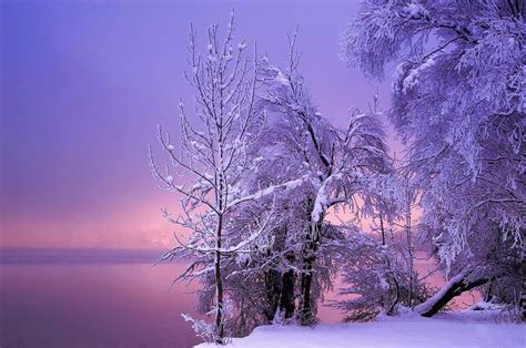 Purple And Snowy Winter Landscape Photography Winter Photography