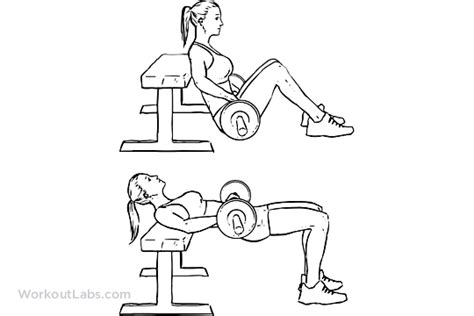 Barbell Hip Thrusts Exercise Guide Workoutlabs Barbell Hip Thrust