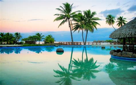 Nature Landscape Swimming Pool Reflection Sunrise Palm Trees Resort