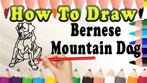 How To Draw A Bernese Mountain Dog Draw Easy For Kids Youtube