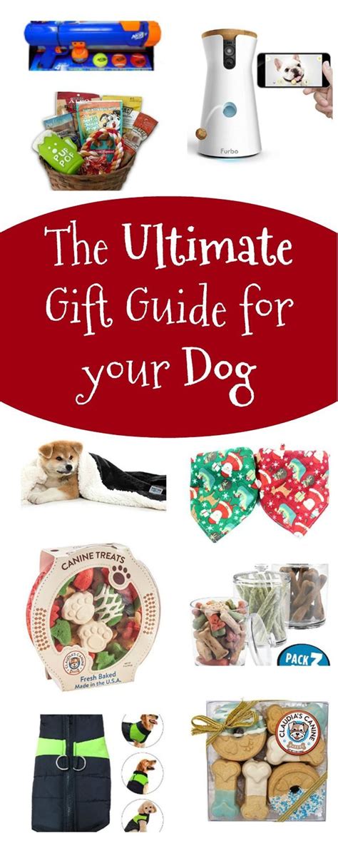 The Ultimate T Guide For Your Dog Unique Ter Dog Christmas