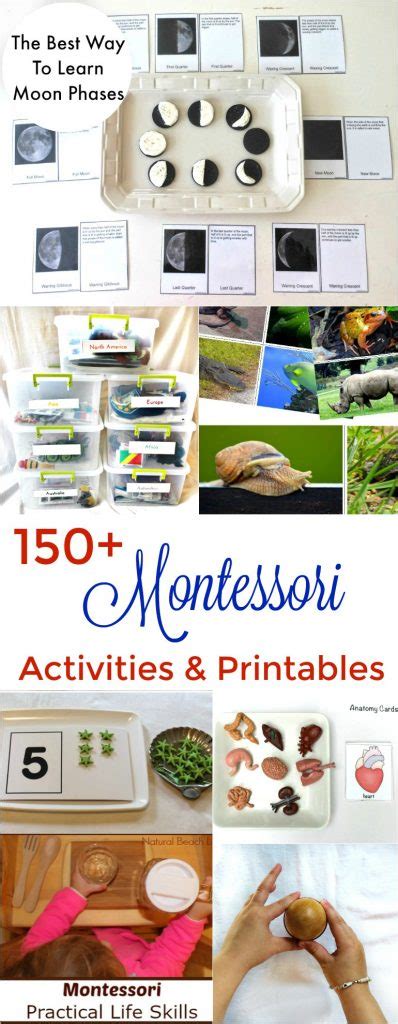 Maybe you would like to learn more about one of these? The Ultimate Guide for The Best Montessori Toys for 2 Year ...