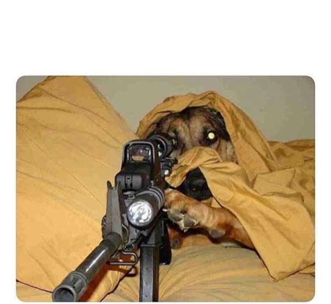 Sniper Meme Templates Imgflip