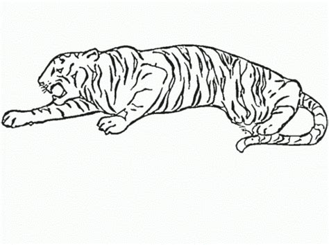 Ausmalbilder L Wen Und Tiger
