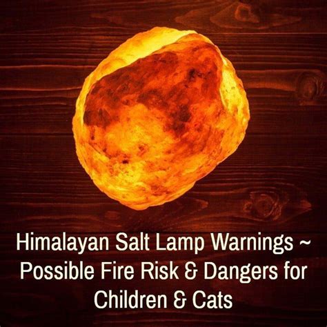 Discover what are the best cat food for hairballs and some very important facts about feeding it to them. Himalayan Salt Lamp Warnings — Are There Any Salt Lamp ...