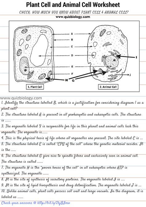 Animal And Plant Cells Worksheets Answers