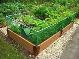We are the only fence company home depot trusts to install fencing for its customers. Raised Garden Bed Rabbit Fence: Gardenista