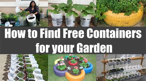 Where And How To Find Free Containers For Your Gardening Video Episode