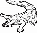 Printable Alligator Coloring Pages