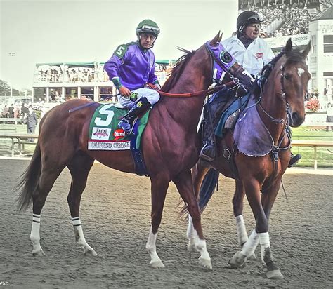 California Chrome Wins Award For Winning Americas Heart Horse Nation