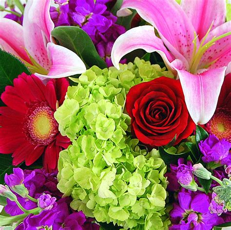 Designer Choice Ultimate Bouquet The Flower Shop