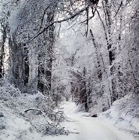 Beautiful Snowy Path Deep In The Heart Of Vermont Smithsonian Photo