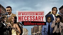 Watch By Whatever Means Necessary: The Times of Godfather of Harlem ...