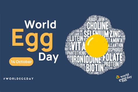 World Egg Day Celebrates The Value And Versatility Of Eggs Poultry World