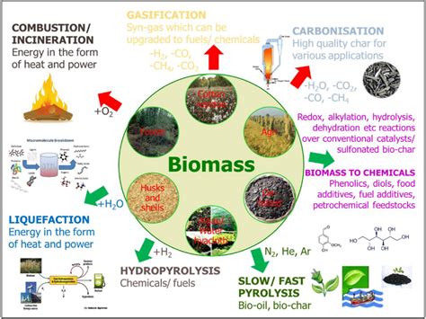 How Biomass Is Powering Communities Reurasia
