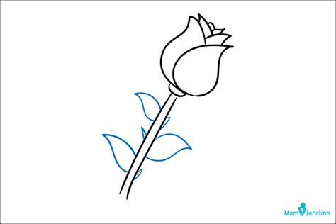 How to draw a maple leaf in 3 steps for other tutorials that involve pencil shading see: How To Draw A Rose: Easy Step-by-Step Guide
