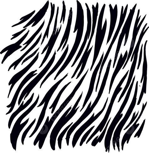 Desenho De Desenho De Zebra Sombreado Png Desenho Animado Zebra