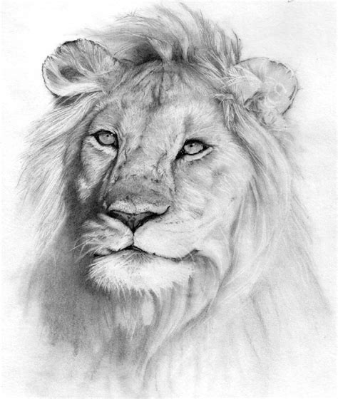 Robin gan is a graphic designer and an excellent hyper realistic artist. 17 Best images about drawing on Pinterest