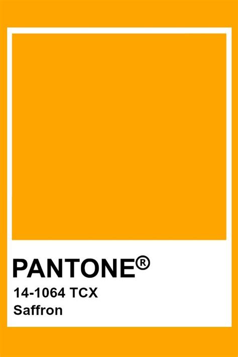 Pantone Saffron Muur Kleuren Kleurenpalet Pantone