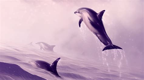 Dolphin Jumping 4k Hd Wallpaper Rare Gallery