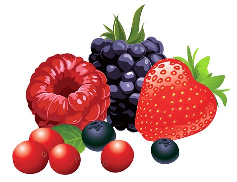 Berry Fruit Clip Art Forest Fruits Png Vector Clipart Image Png My