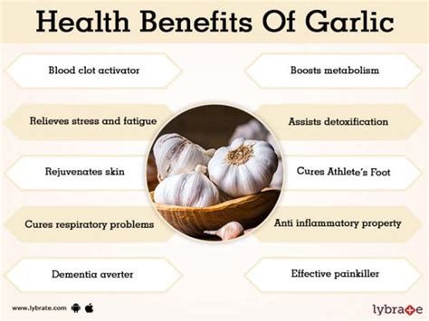 Garlic has unlimited health benefits for men. Why Eating Garlic Is So Important and its Remarkable ...