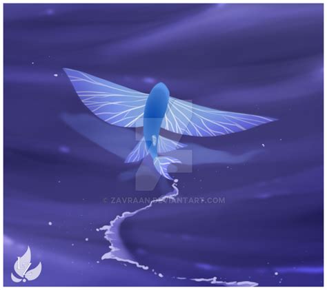 Flying Fish By Zavraan On Deviantart