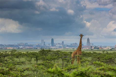 √ Nairobi Kenya National Park
