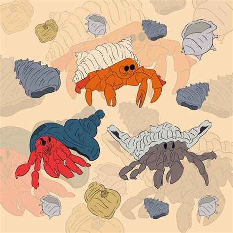 Hermit Crab Shell Vectors And Illustrations For Free Download Freepik