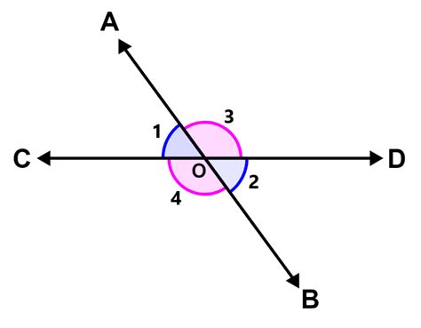 Vertical Angles Theorem With Examples Neurochispas En