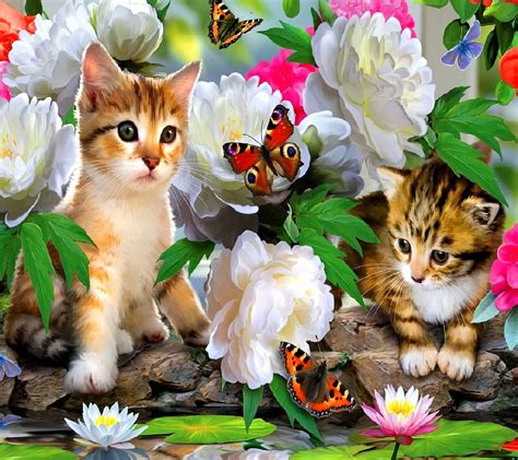 Cats Wallpaper By X 54 Free On Zedge