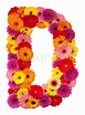 Letter D - flower alphabet isolated on white background | Stock Photo ...