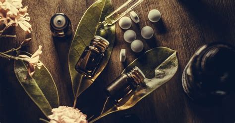 7 Most Popular Essential Oils And How They Work National Globalnewsca