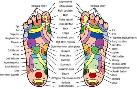 The Magic Of Modern Day Reflexology Bed Of Nails