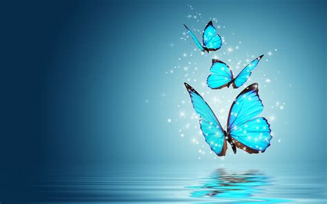 Cool Butterfly Wallpapers 59 Pictures