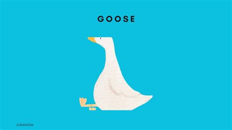 100 Funny Goose Puns That Will Cheer You Up Jokewise