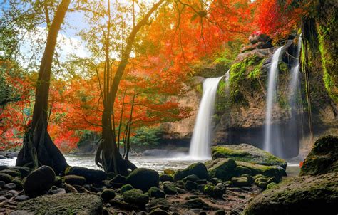 Wallpaper Autumn Forest Water Nature River Waterfall Forest
