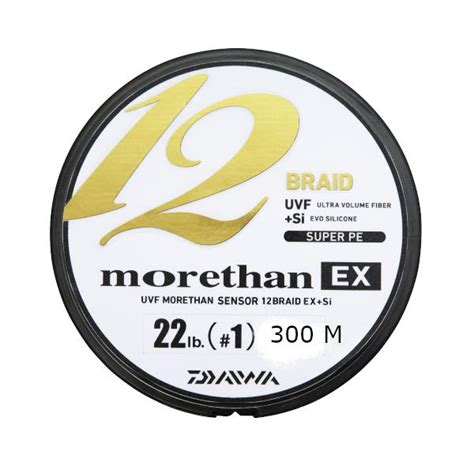 Daiwa Morethan 12 Tråds 300 Meter Fletline til Kysten