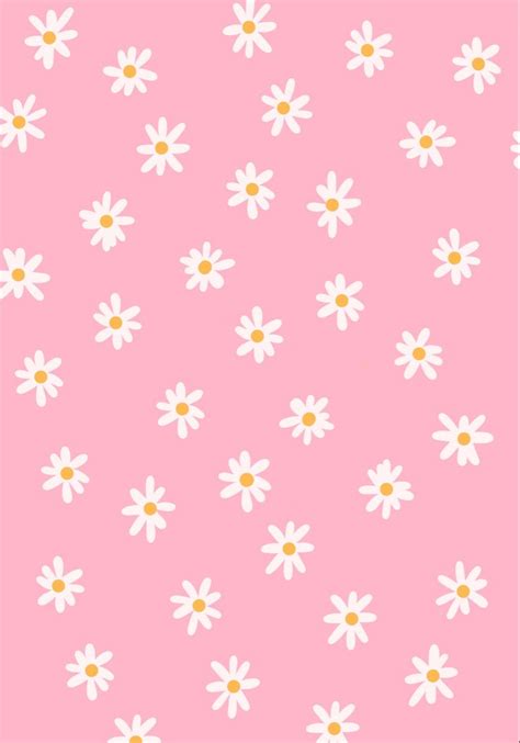Pink Daisy Background Daisy Wallpaper Pink Daisy Wallpaper Cute