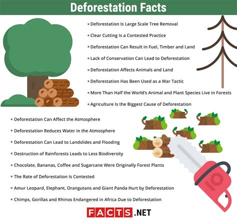 Major Causes Of Deforestation