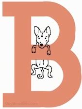 Small dogs that start with b. Dog Breeds A to Z, - Breeds that begin with the letter B