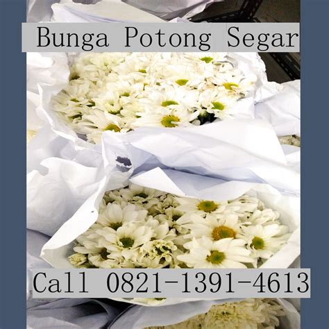 0821 1391 4613 Distributor Bunga Potong Palembang Agen Bunga Potong